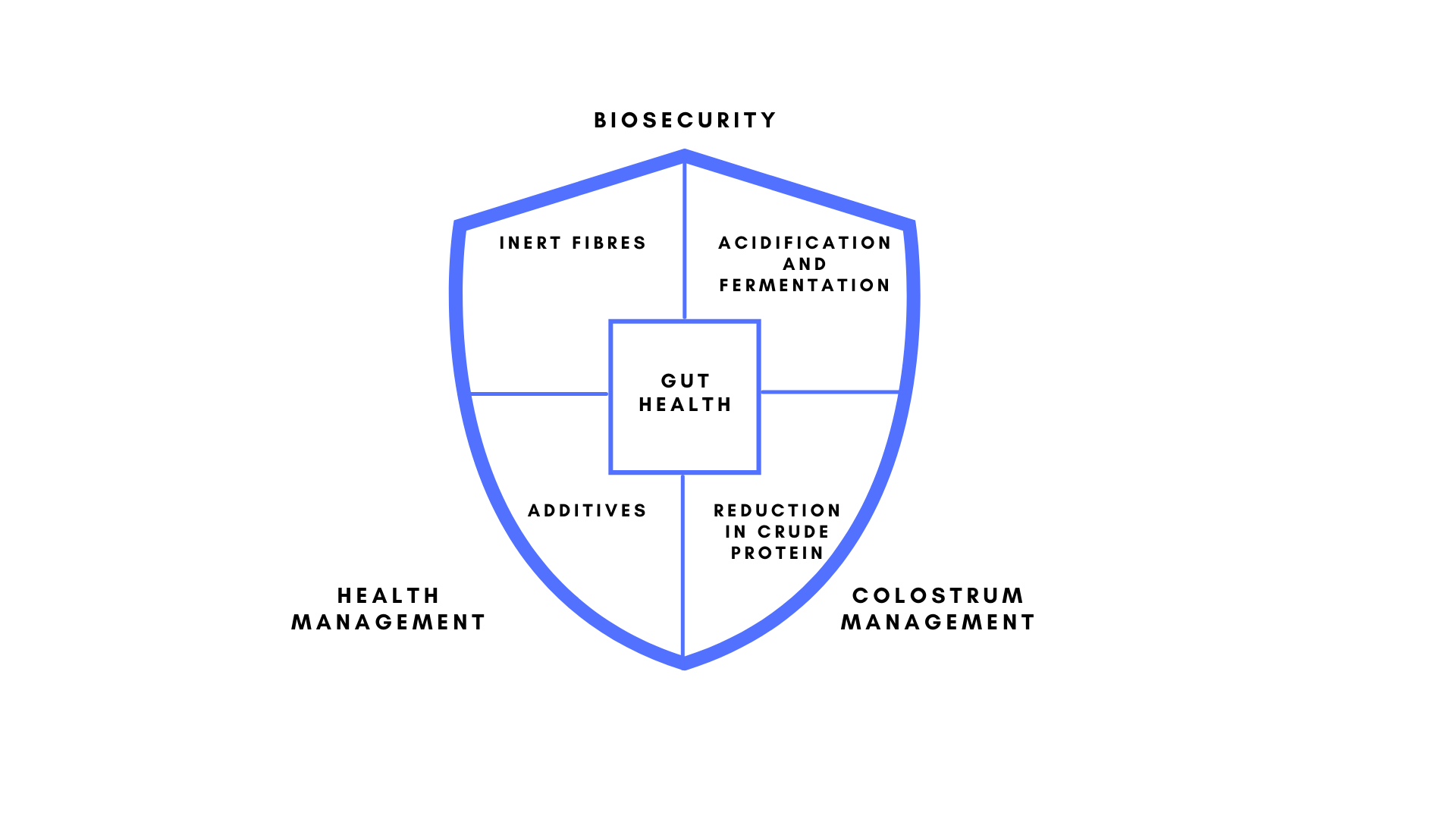 Diagram describing the processes that support good gut health – biosecurity, health management and colostrum management.